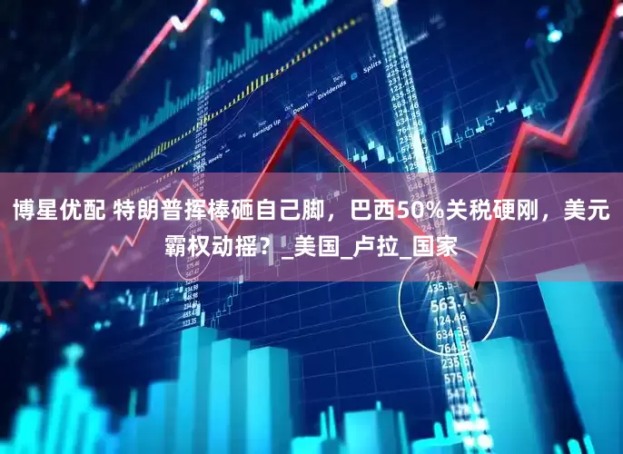 博星优配 特朗普挥棒砸自己脚，巴西50%关税硬刚，美元霸权动摇？_美国_卢拉_国家